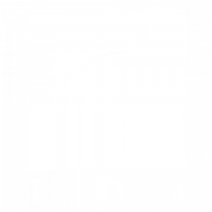 logo-tdi-blanc